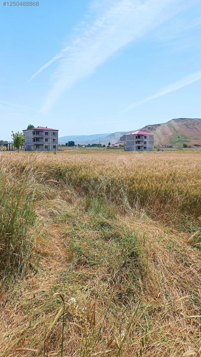 Sahibinden acil satılık kelepir arsa 8.000 M² Muş / Merkez / Sungu Bld. - MUŞ MERKEZ fotoğraf 4